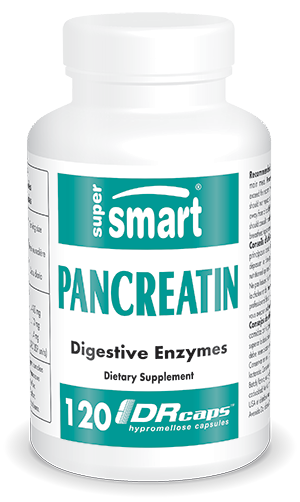 Pancreatin | Made in USA | GMO & Gluten Free | Combined Digestive Enzymes Supplement - Natural Digestives Support | 120 DR Capsules - Supersmart