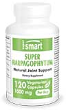 Super Harpagophytum