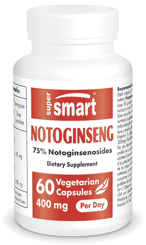 Notoginseng , 60 Veg. Caps. - SuperSmart