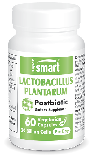 Lactobacillus Plantarum PostBiotic
