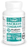 Bacillus Coagulans Probiotic