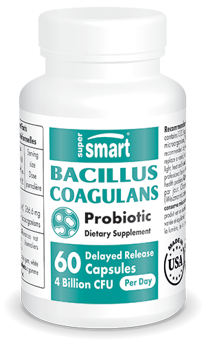 Bacillus Coagulans Probiotic