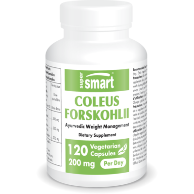 Coleus Forskohlii Supplement