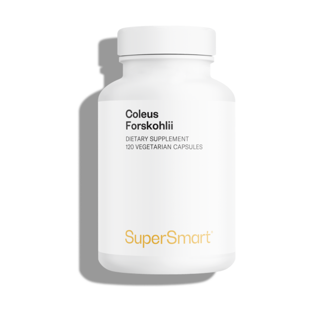 Coleus Forskohlii Supplement