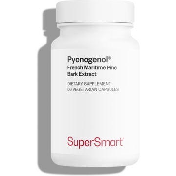 Complément alimentaire de pycnogénol riche en proanthocyanidines