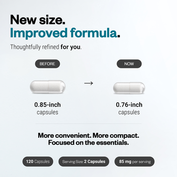 Suplemento Zinc L-Carnosine