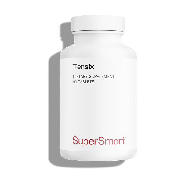 Tensix Supplement