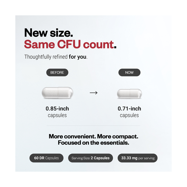 Lactobacillus Reuteri Supplement