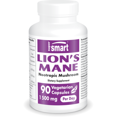 Lion's Mane Supplement 