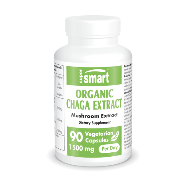 Extrait bio de champignon chaga