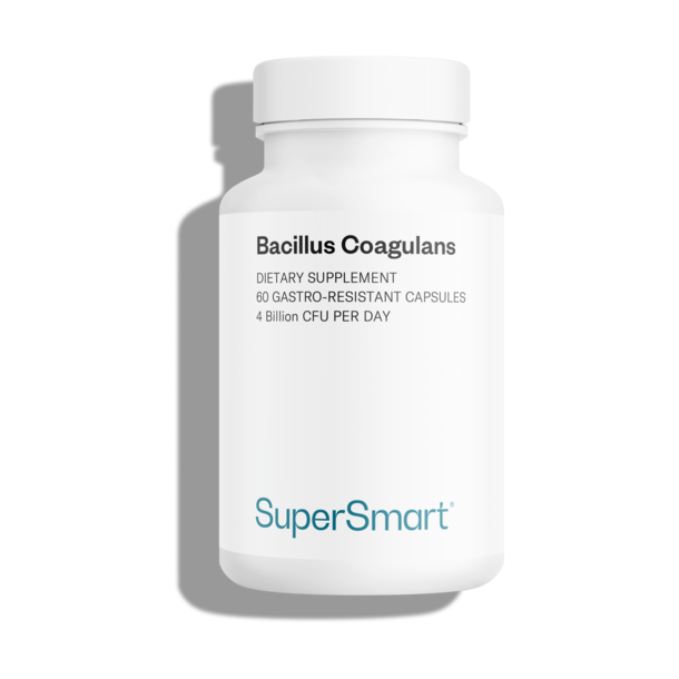 Bacillus Coagulans Probiotic