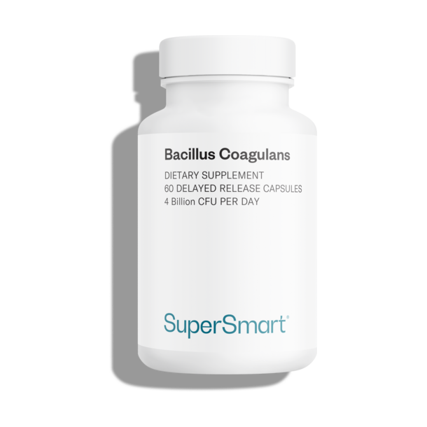 Suplemento Probiótico Bacillus Coagulans