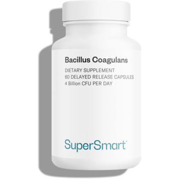 Suplemento Probiótico Bacillus Coagulans