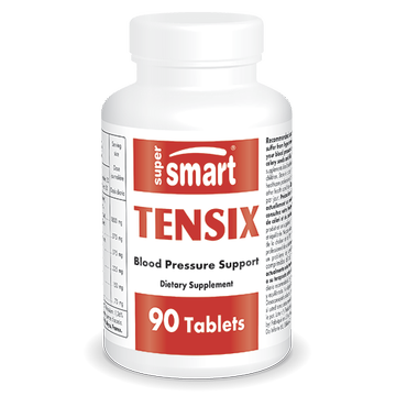 Tensix Supplement
