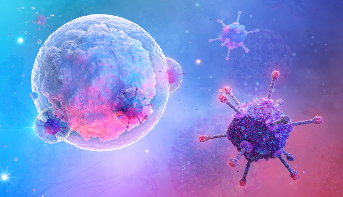 Immune defenses fighting viruses