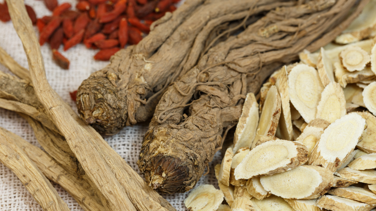 Dried astragalus root