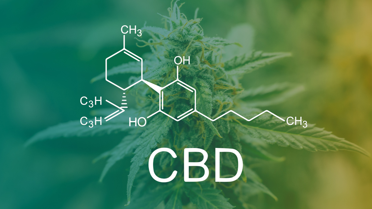 Molécule de CBD et plant de cannabis