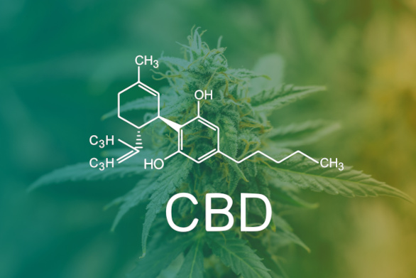 Molécula de CBD y planta de cannabis