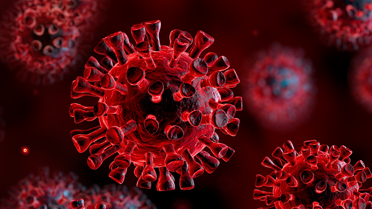 Coronavirus o virus COVID-19 en el organismo