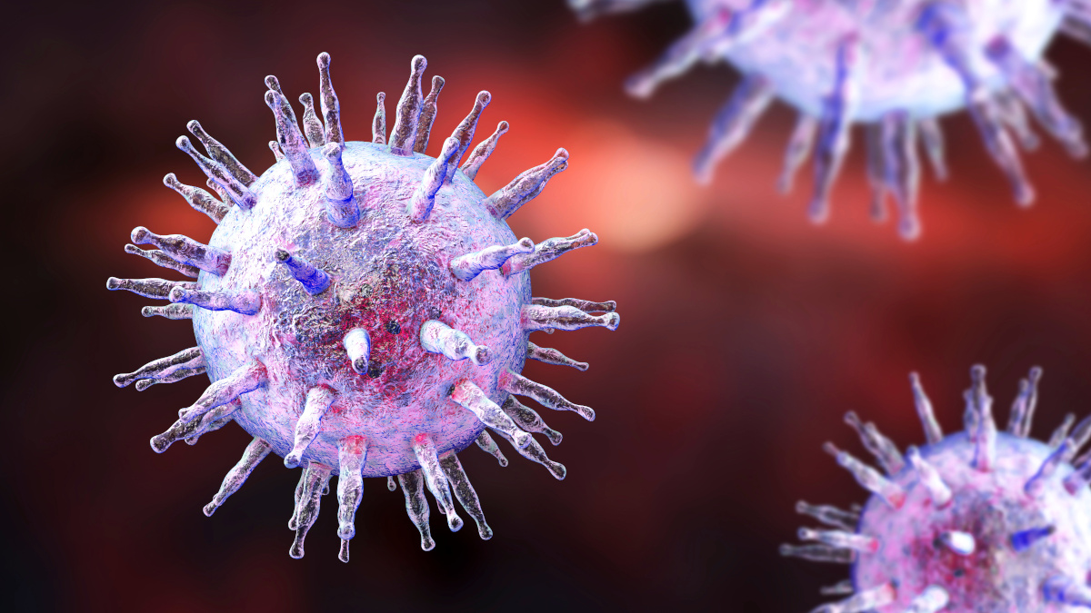 Virus that causes infectious mononucleosis