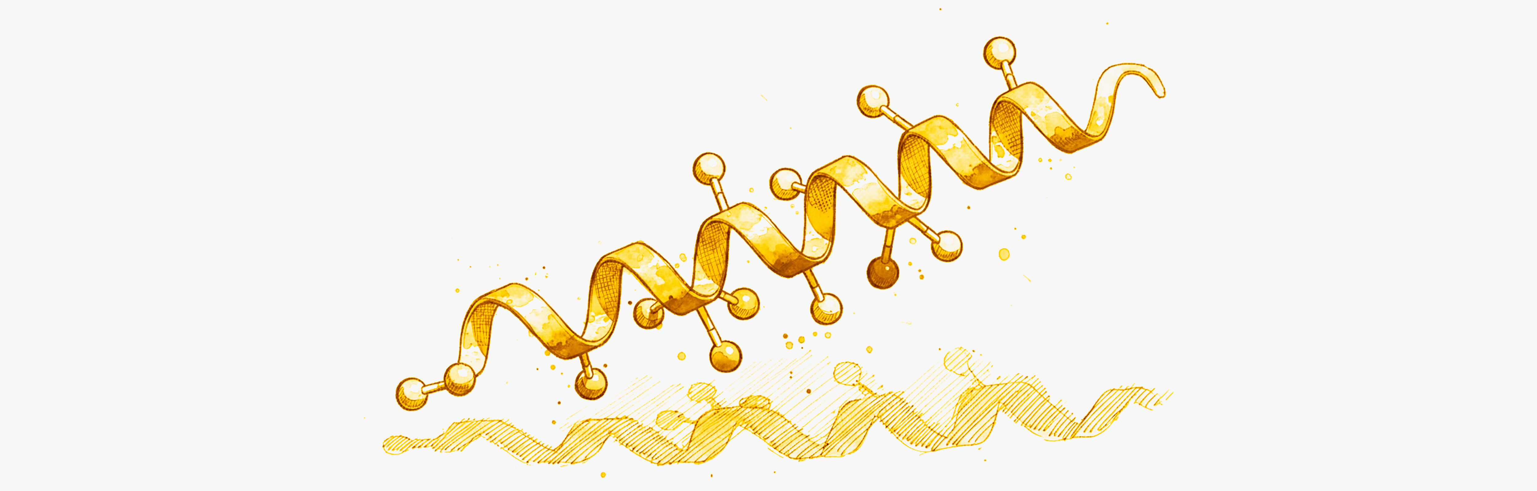 El GLP-1 podria ayudar a combatir el higado graso