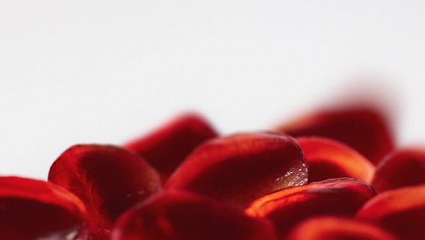 The role of urolithin A in immune ageing