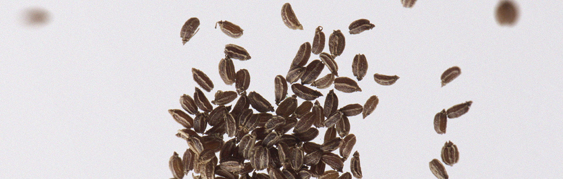 Some probiotic strains could help women cope with the menopause