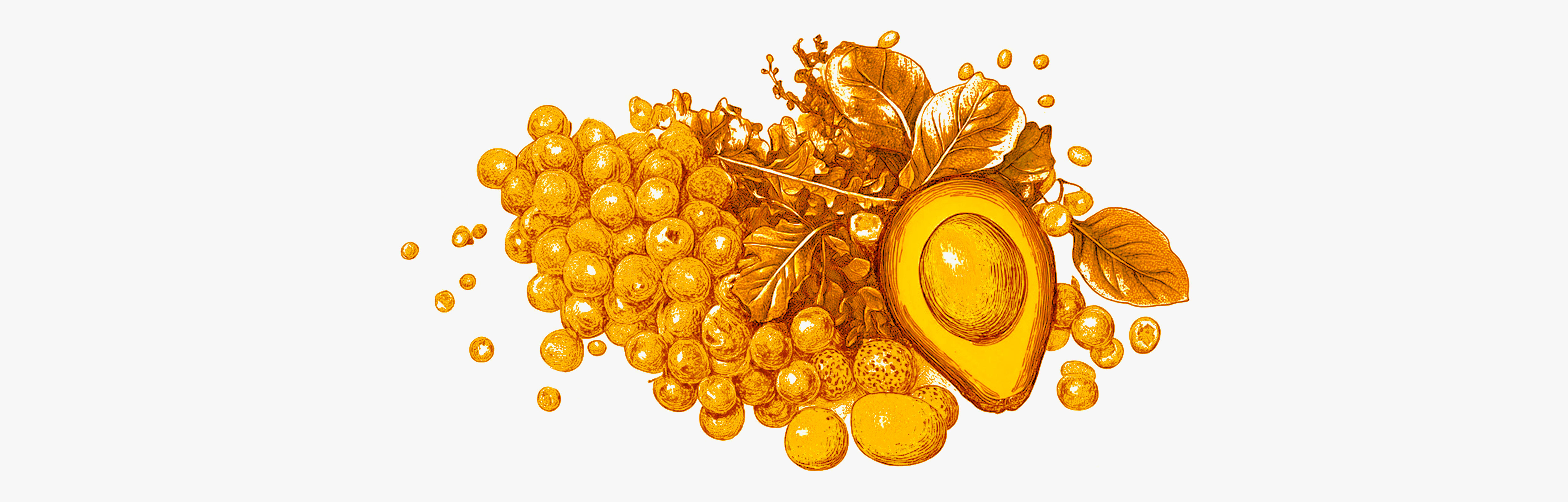 Beneficios de la micronutrición
