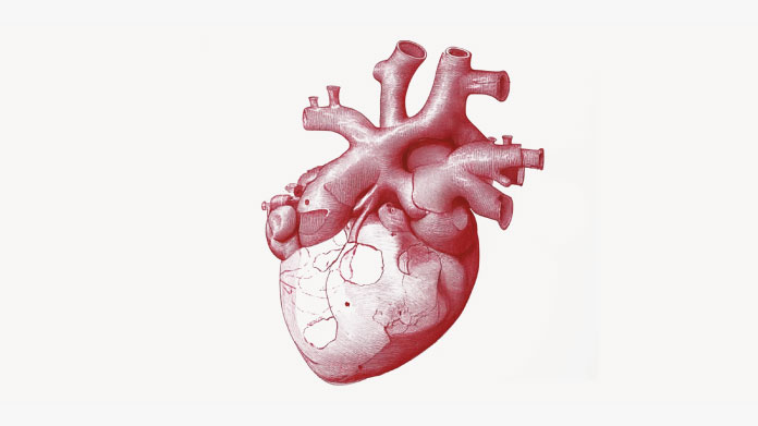 Anti-cholesterol plants