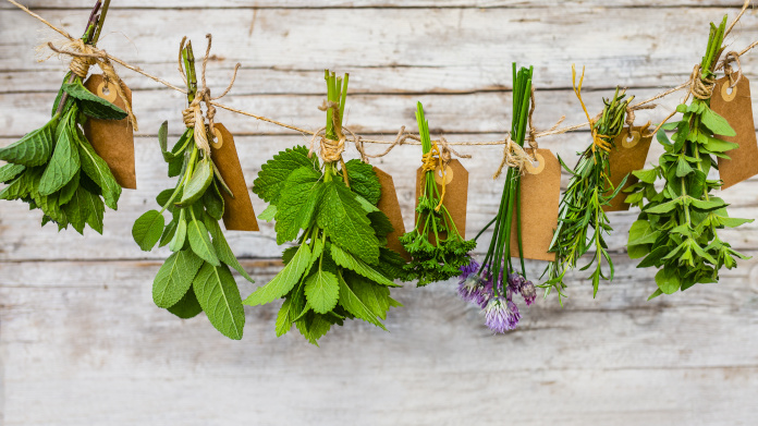 Aromatic medicinal plants, drying