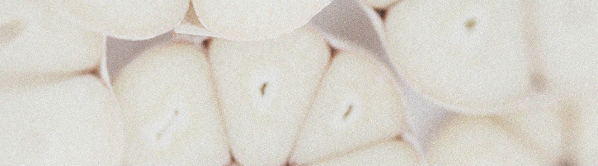 Discover the difference between prebiotics and probiotics