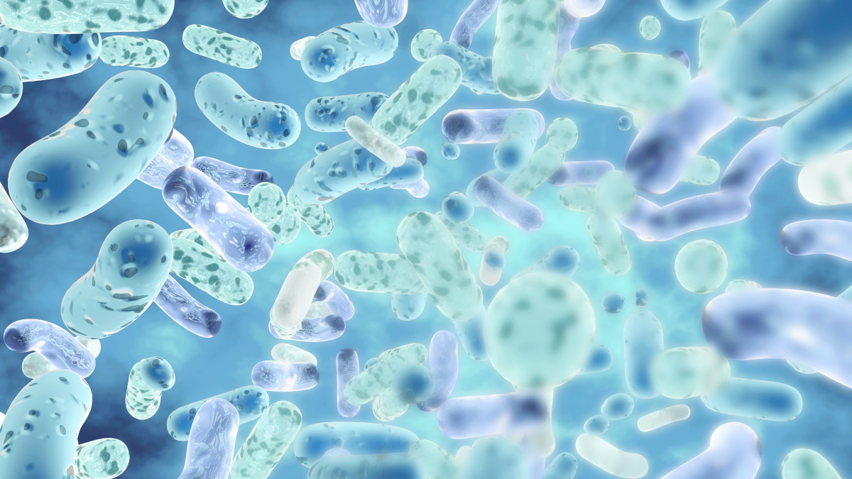 Probiotics in the gut microbiota