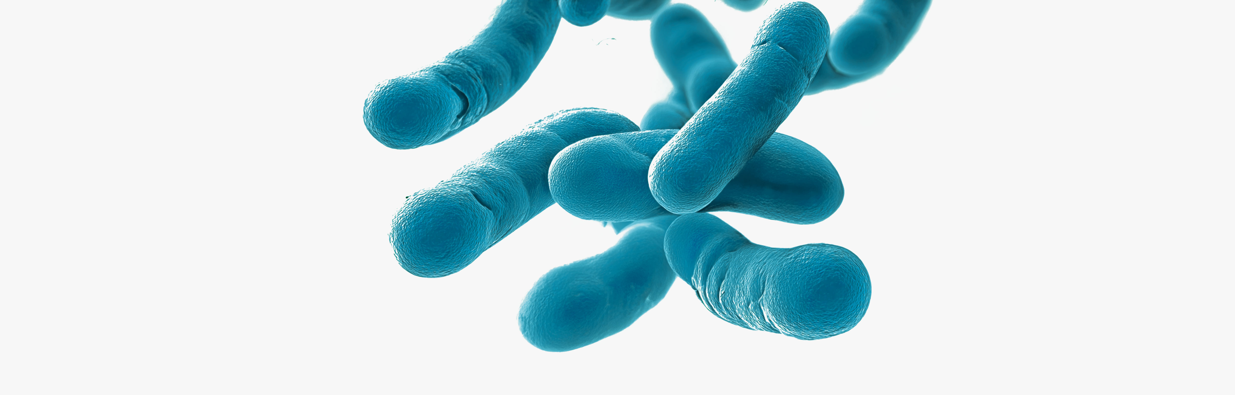 Probióticos para aliviar el intestino irritable