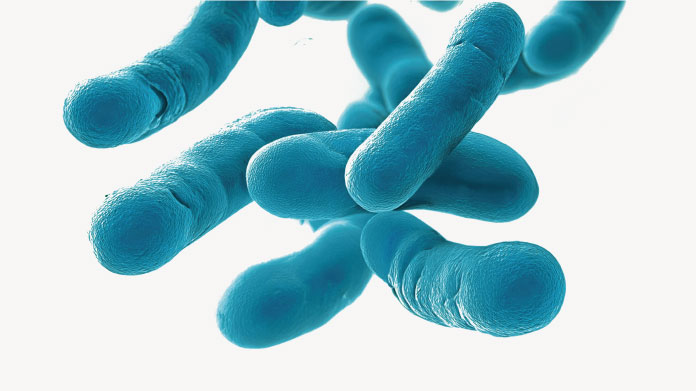 Probióticos para aliviar el intestino irritable