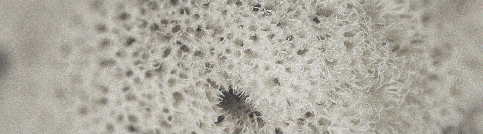 The specific effectiveness of spore-forming probiotics