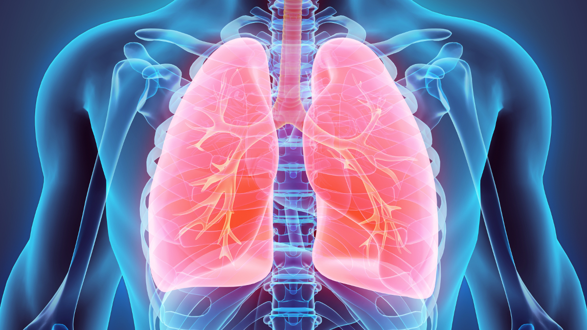 Representación médica de los pulmones