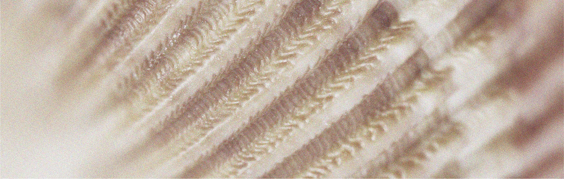 La vitamine B12 présente de nombreux bienfaits, parmi lesquels elle pourrait contribuer à la santé capillaire