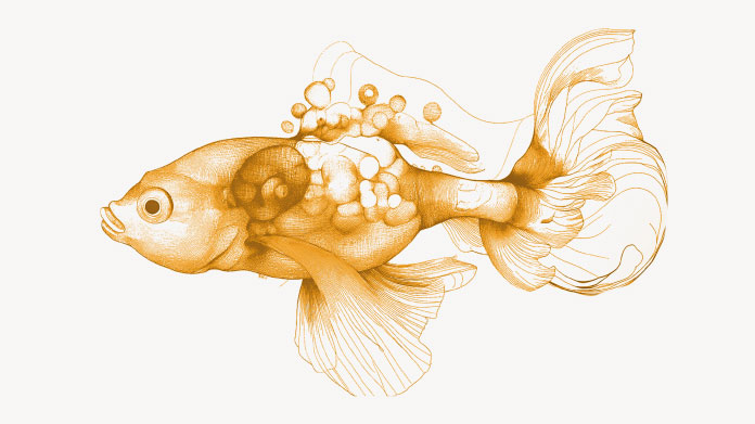 Tout ce qu’il faut savoir sur la vitamine B2