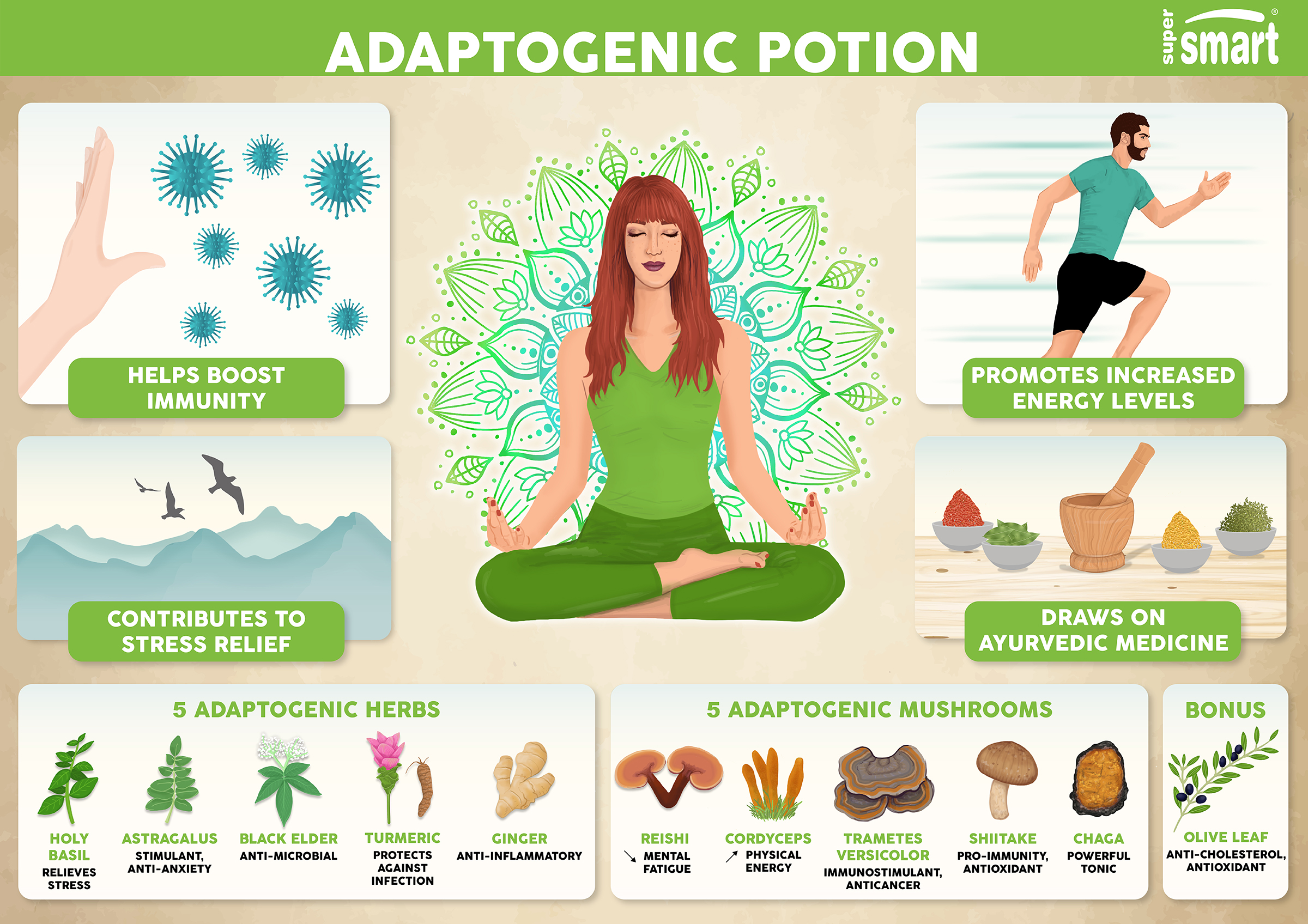 Illustration of the benefits of Adaptogenic Potion